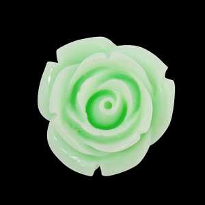 Bottone Chunky Rosa in Resina Verde