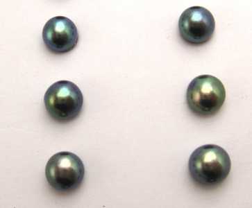 Perle coltivate fondo piatto peacock misura mini