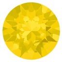 Xirius Chaton Yellow Opal