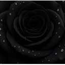 PREVENDITA Calendario dell'avvento Uabstyle 2025 Black Lady