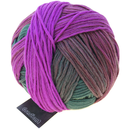 Schoppel Wolle Gradient colore 2249 Cerimonia del the