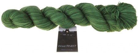 FUORI PRODUZIONE Schoppel Wolle Wool Finest colore 2258 Confine della foresta