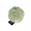 Zauberball Cotton 2341 Verdura fresca