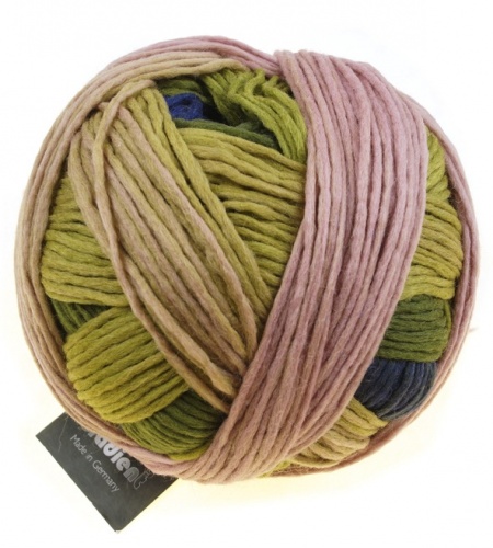 Schoppel Wolle Gradient colore 2336 Elfo della foresta