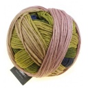 Schoppel Wolle Gradient colore 2336 Elfo della foresta