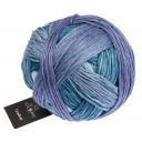 Schoppel Wolle Gradient colore 2518 Gara di Elefanti