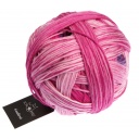 Schoppel Wolle Gradient colore 2517 Pink Affaire