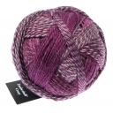 Crazy Zauberball colore 2543 Dark Roses