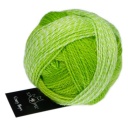 Crazy Boys Schoppel Wolle colore 2697 Georg