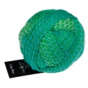 Crazy Boys Schoppel Wolle colore 2708 Joachim