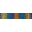 Crazy Cotton Starke 4 Schoppel Wolle 2623 Mattiniero