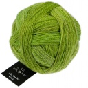 Alb Zauber Crazy Schoppel Wolle 2726 Poseidon
