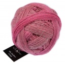 Alb Zauber Crazy Schoppel Wolle 2724 Dionysos