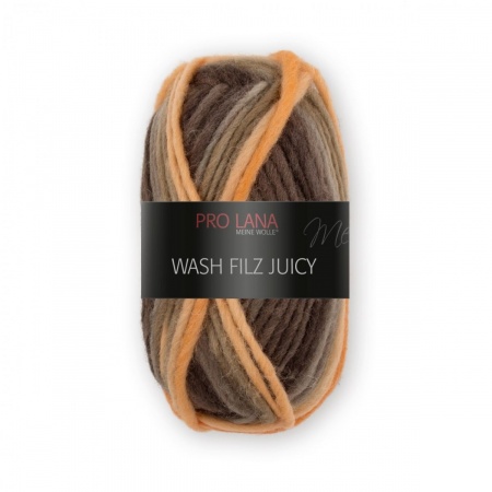 Wash Filz Juicy Pro Lana da infeltrire colore 301