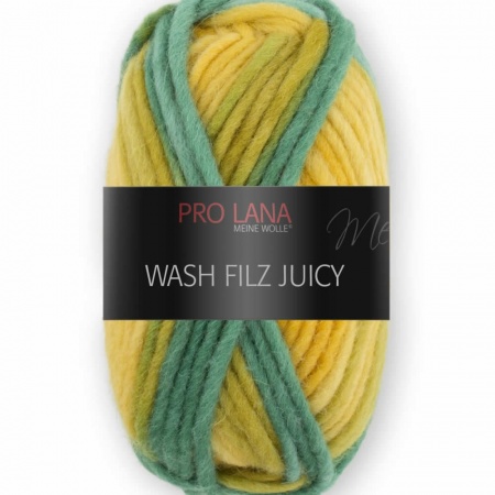 Wash Filz Juicy Pro Lana da infeltrire colore 307