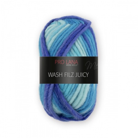 Wash Filz Juicy Pro Lana da infeltrire colore 305