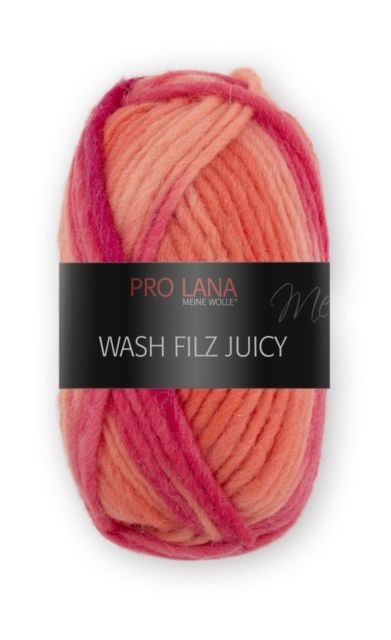 Wash Filz Juicy Pro Lana da infeltrire colore 302