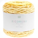 Rico Design Ricorumi Spin DK colore Yellow