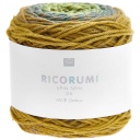 Rico Design Ricorumi Spin DK colore Olive