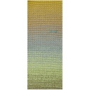 Rico Design Ricorumi Spin DK colore Olive