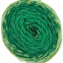 Rico Design Ricorumi Spin DK colore Verde