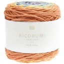 Rico Design Ricorumi Spin DK Earthy Rainbow