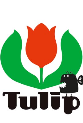   Tulip